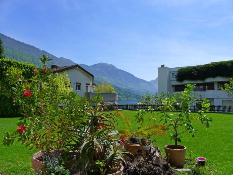 foto13