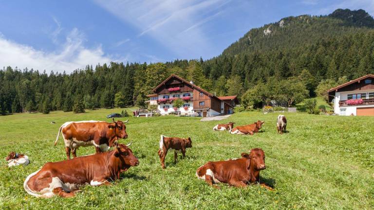 Ferienhaus Berchtesgaden