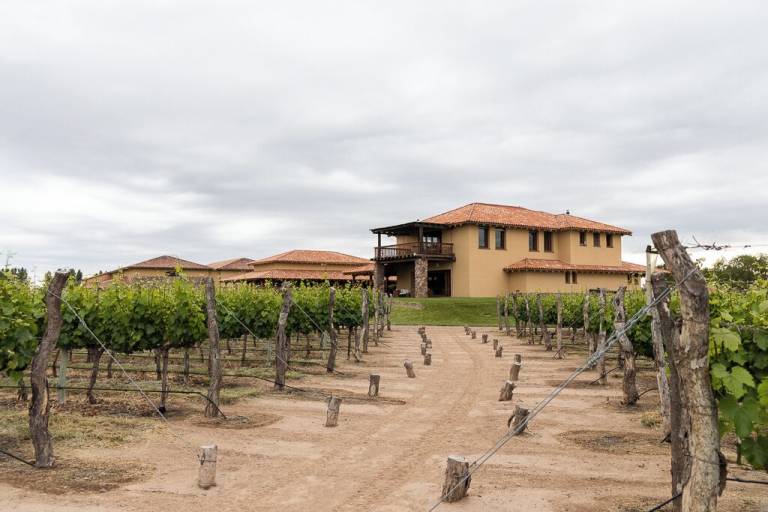 Casa Mendoza