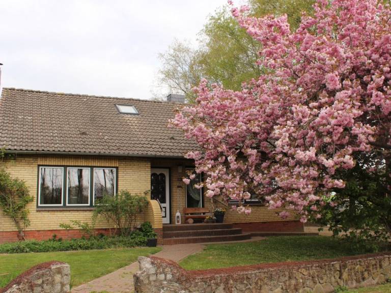 Ferienhaus Albersdorf