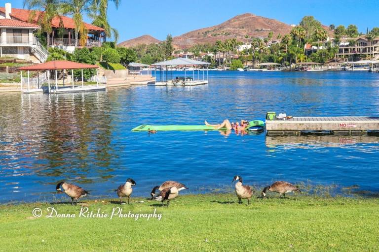 House  Lake Elsinore