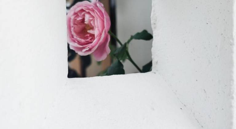 foto35