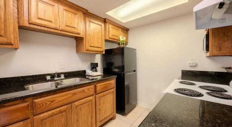 Lovely holiday apartment with pool | Next to the beach | Pets are welcome — photo 3