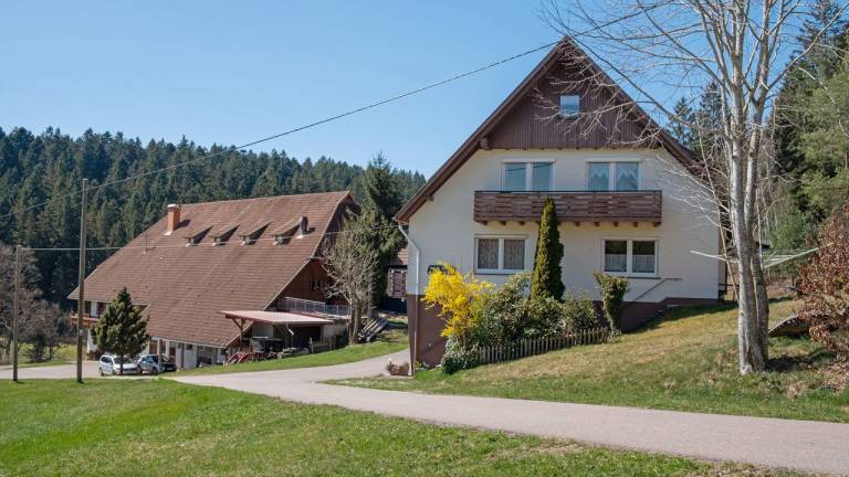 Ferienwohnung Tennenbronn