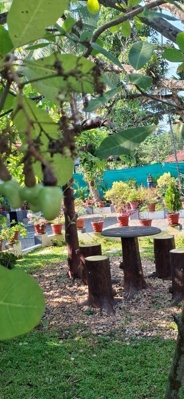 foto40