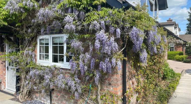 130 m&sup2; Ferienhaus