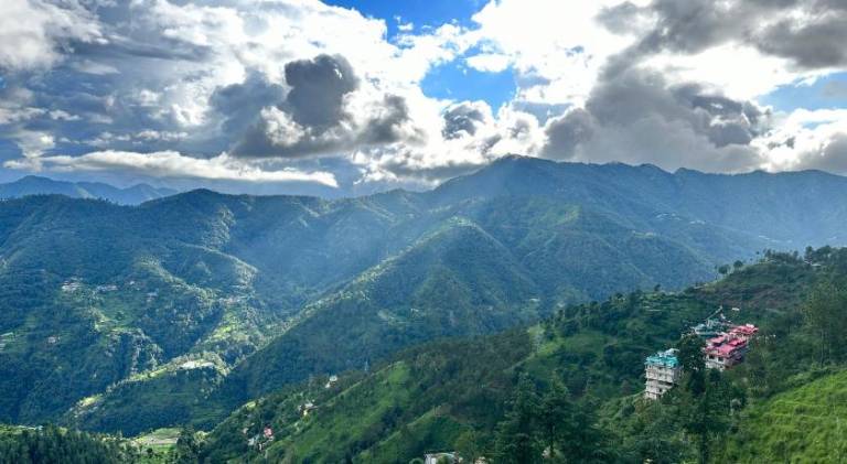 BEST NEST SHIMLA - Pure vegetarian — photo 5