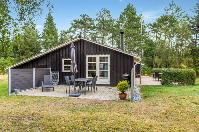 Ferienhaus mit Hund in Kongsmark für max. 6 Gäste
