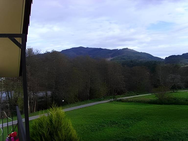 foto40