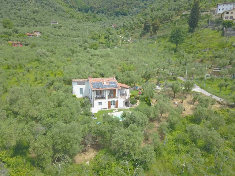 foto6