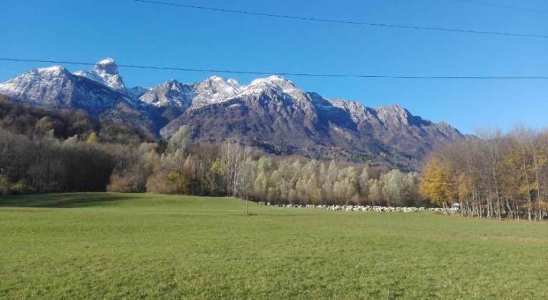 foto40