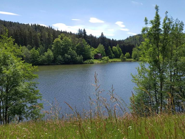 foto40