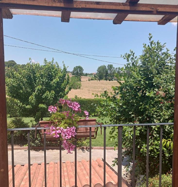foto36