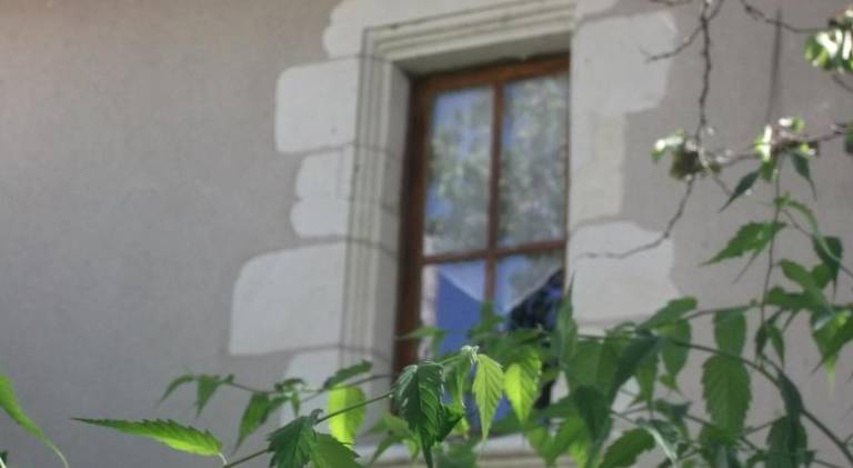 Nice apartment with yard | Pet-friendly — photo 3