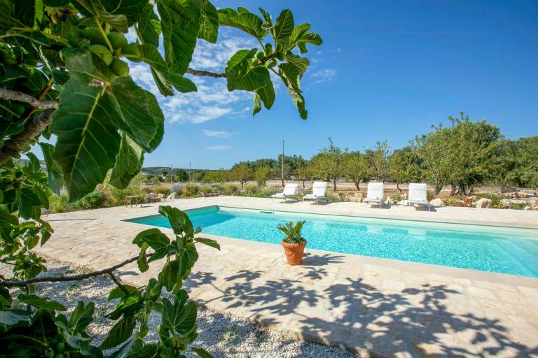 Villa among olive trees, private pool and patio — photo 2