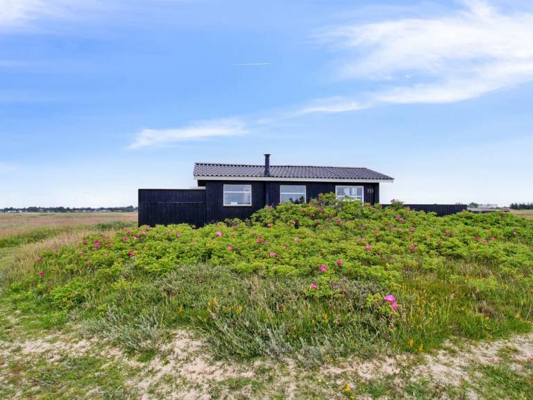 House Blåvand