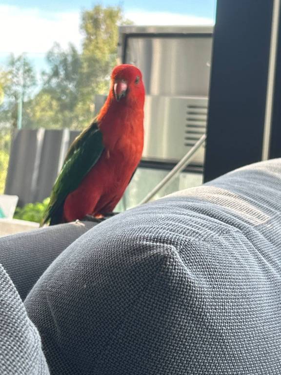 foto14