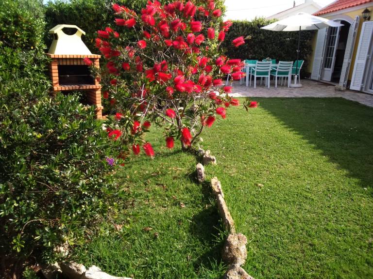 foto36