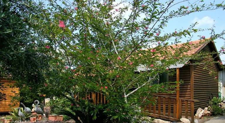 foto6
