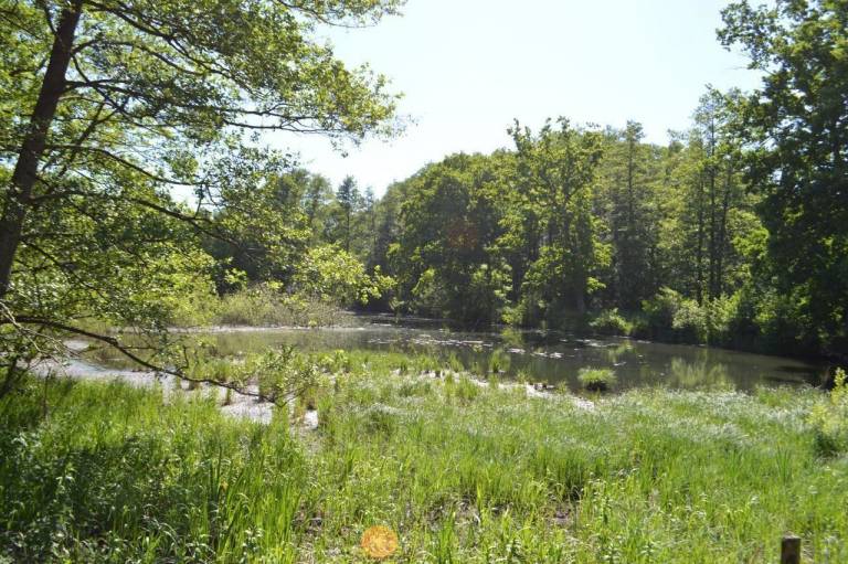 foto11