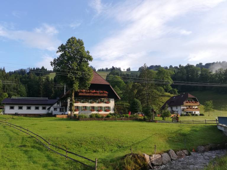 foto42