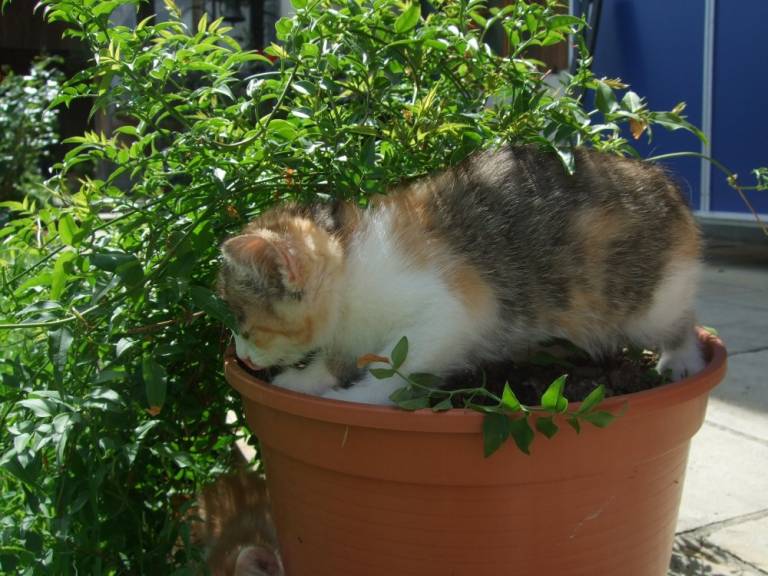 foto15