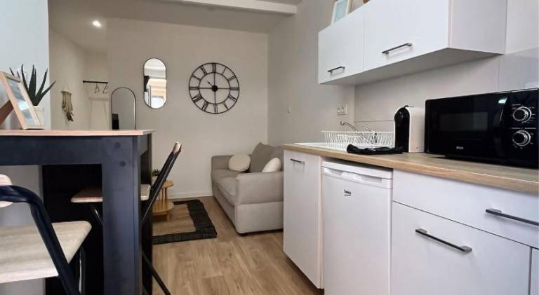 Pleasant rental apartment | Pet-friendly in Montauban