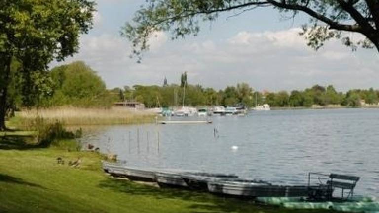 foto17