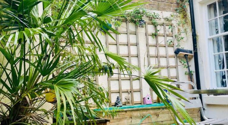 Garden flat, 2 mins walk from beach — photo 3