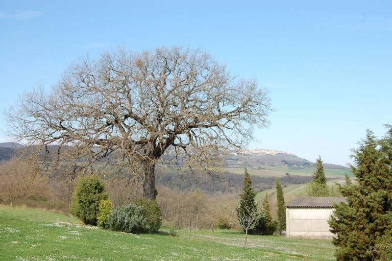 Locanda  Castiglione D'orcia
