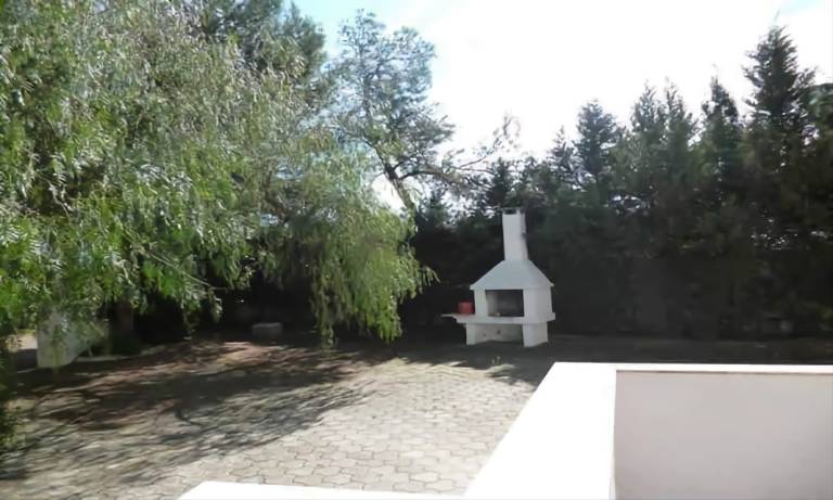 foto19