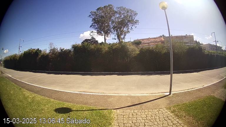 foto1