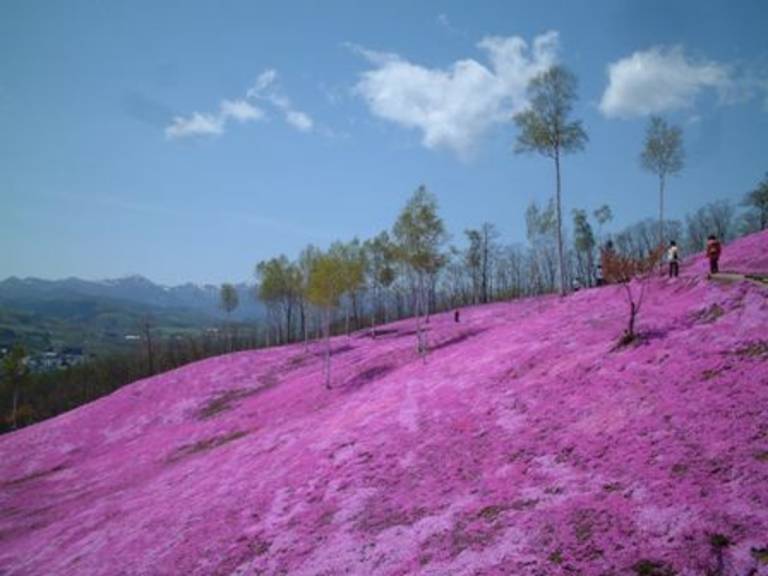 foto6