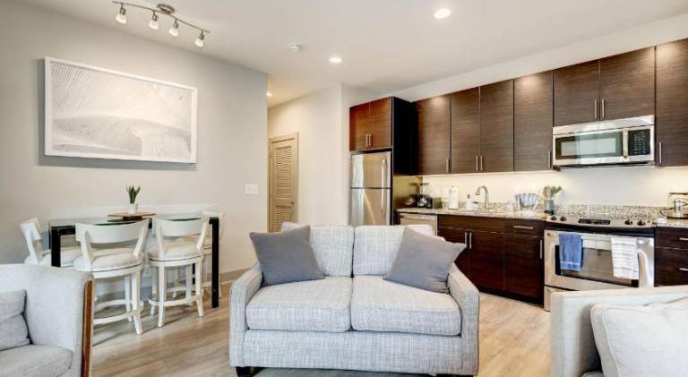 1BR Luxury Apartment With Rooftop Deck & Pool in Baltimore, MD