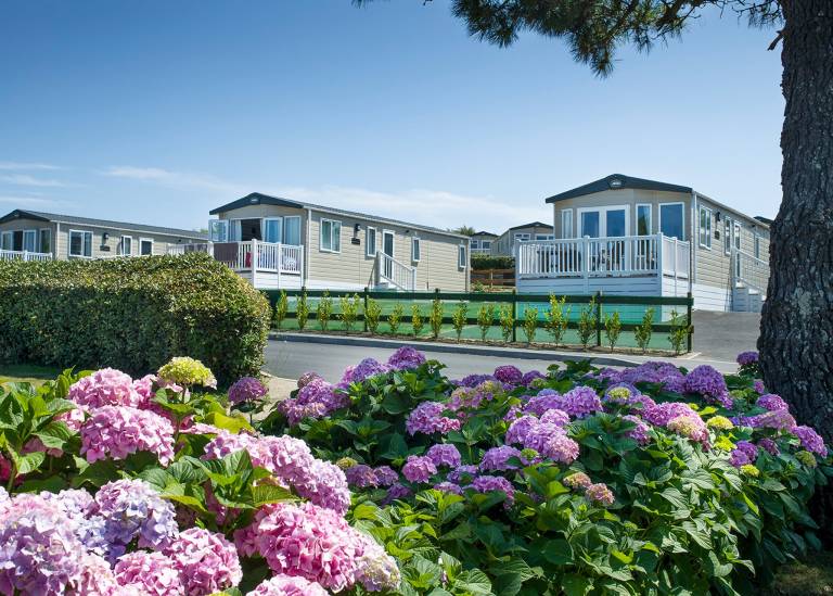 Caravan Holywell
