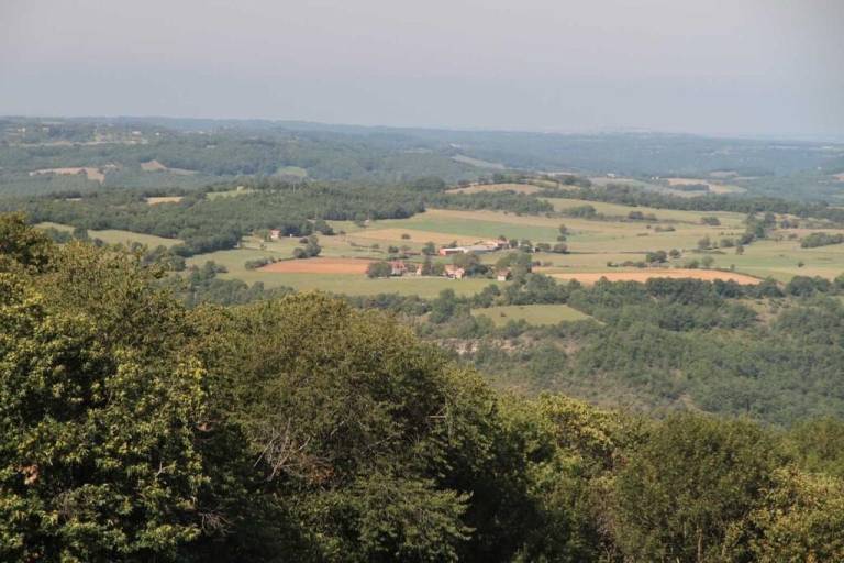 Beautiful vacation home | Nature view | Pets are welcome — photo 4