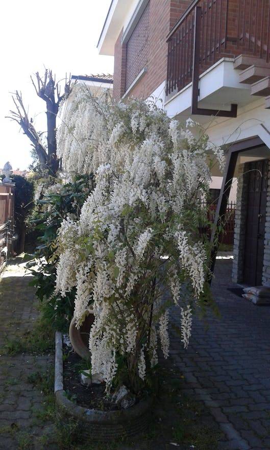 foto12