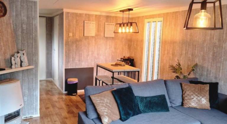 Veluwe Park Reewold-Chalet in Putten voor rust zoeker — photo 2