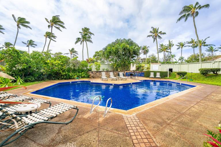 Condo Turtle Bay