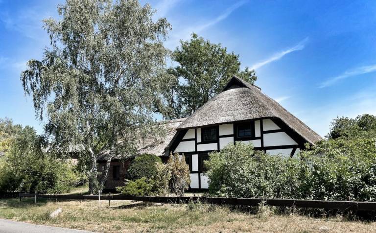 Ferienhaus Amt Darß/Fischland