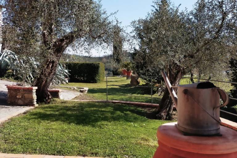 foto26