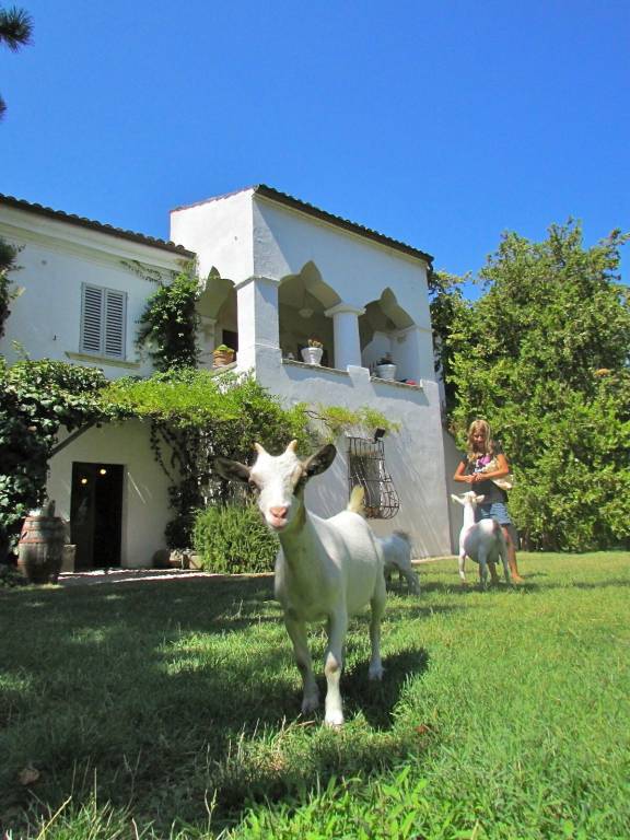 Agriturismo Capestrano