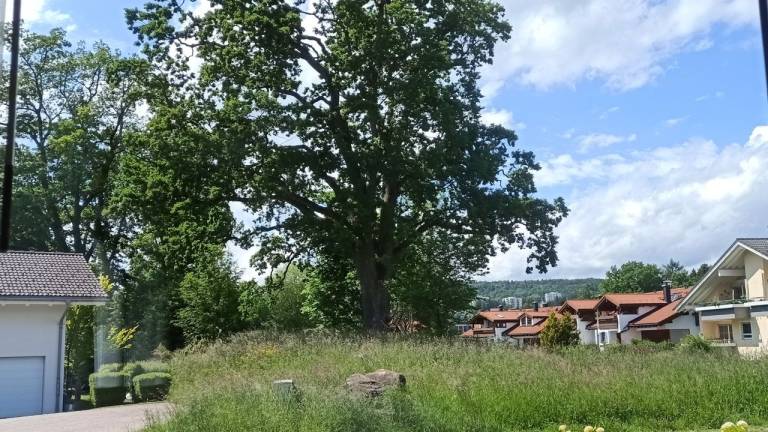 Ferienwohnung  Niedersonthofen