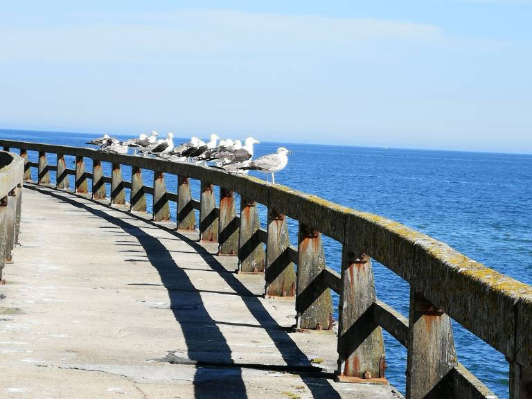 Maison de vacances Isigny-sur-Mer