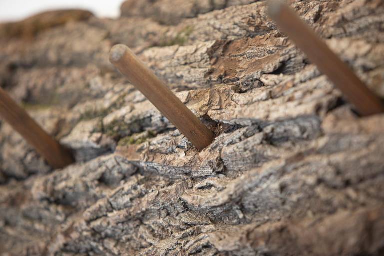 Ferienwohnung mit Hund in Rußbach am Pass Gschütt, Russbach am Pass Gschütt für max. 6 Personen Ferienwohnung mit Hund in Rußbach am Pass Gschütt, Russbach am Pass Gschütt für max. 6 Personen