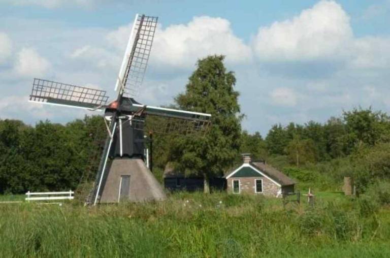 foto18