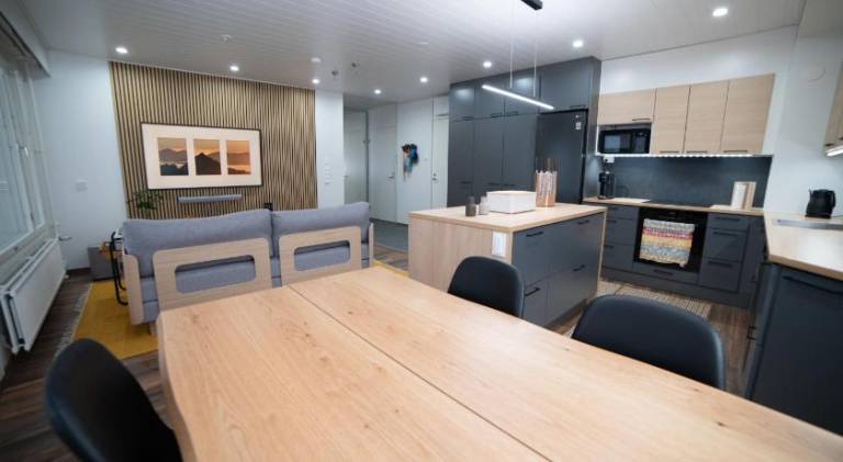 Rental apartment with sauna | Next to Arktikum Science Museum — photo 4