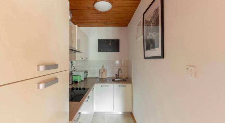 Apartma Alpine Space, Kranjska Gora - Center — photo 3