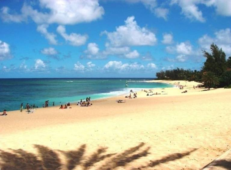 Condo North Shore