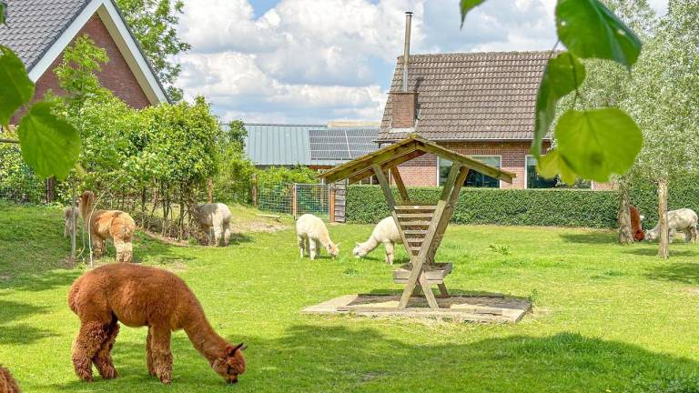 Ferienhaus mit Terrasse und Garten | Hunde erlaubt